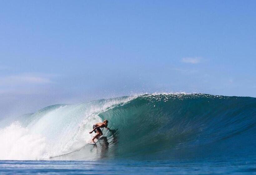 منتجع Cabana Surf And Stay