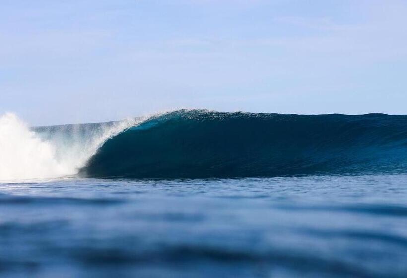 منتجع Cabana Surf And Stay