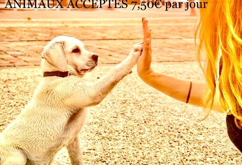 منتجع Sea Blue   Mobil Homes 10 Places Avec 4 Chambres Siblu Proche Océan Mh 735 Ou 828