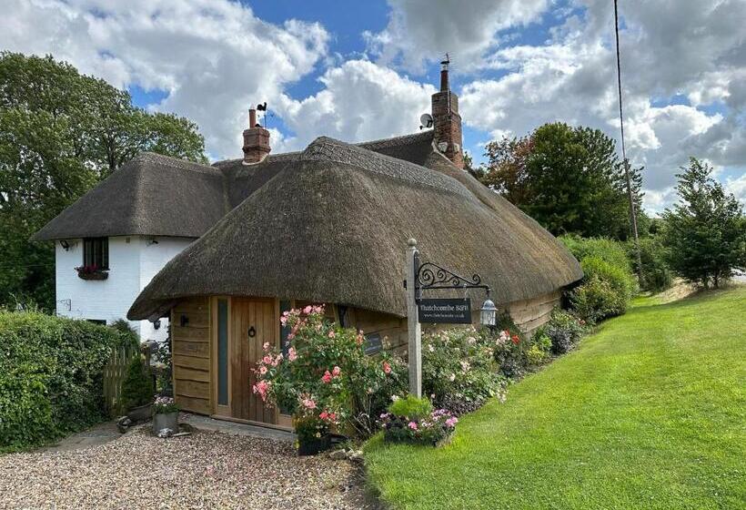 Thatchcombe B&b