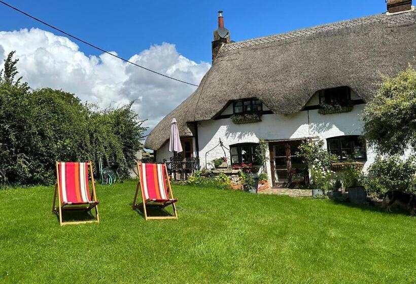 Thatchcombe B&b