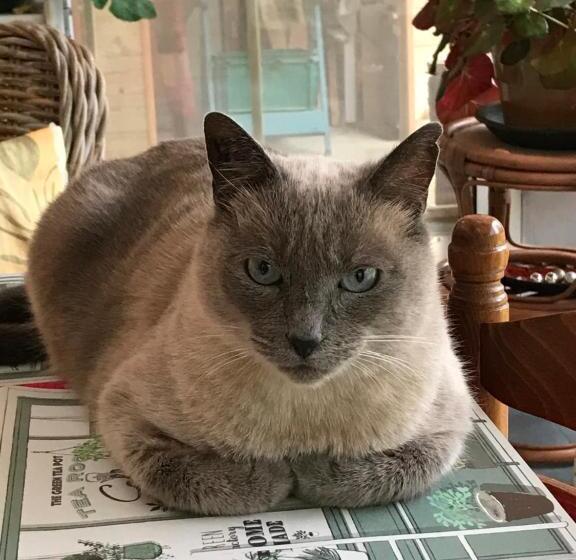 2 Chambres B&b Près De L Aéroport Et Du Meett