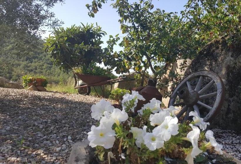 B&b Casa Vacanza Centro Sardegna