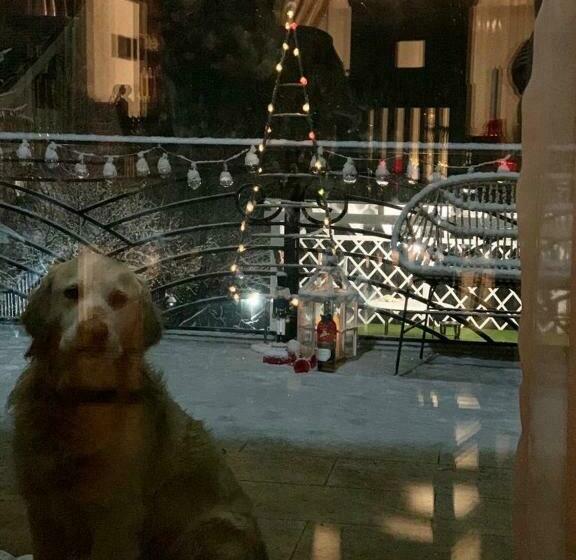 민박 Casa Din Deal