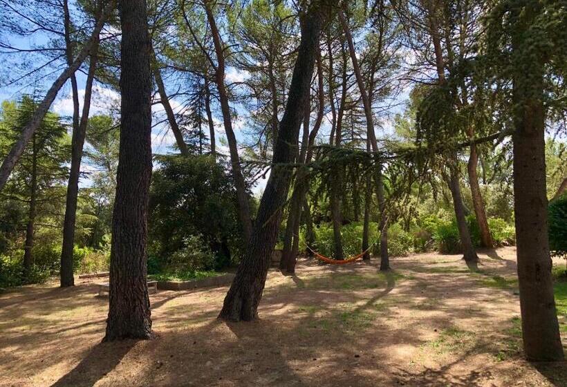 צימר Chambres Dans Le Luberon   Bois Romay