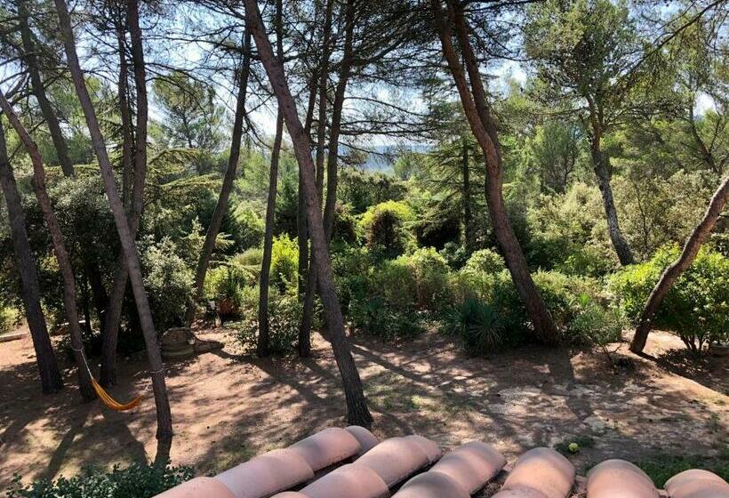 צימר Chambres Dans Le Luberon   Bois Romay