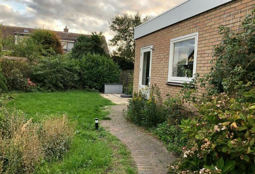 住宿加早餐 De Zwarte Ruiter