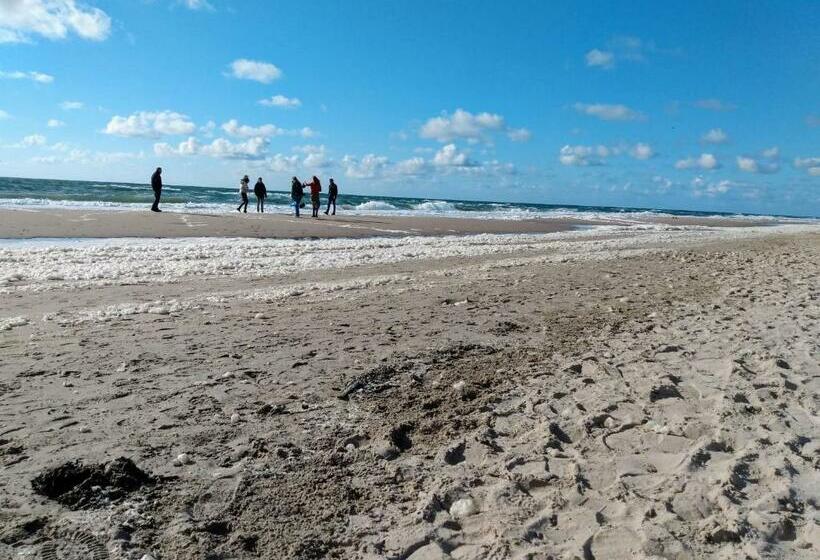 住宿加早餐 De Zwarte Ruiter