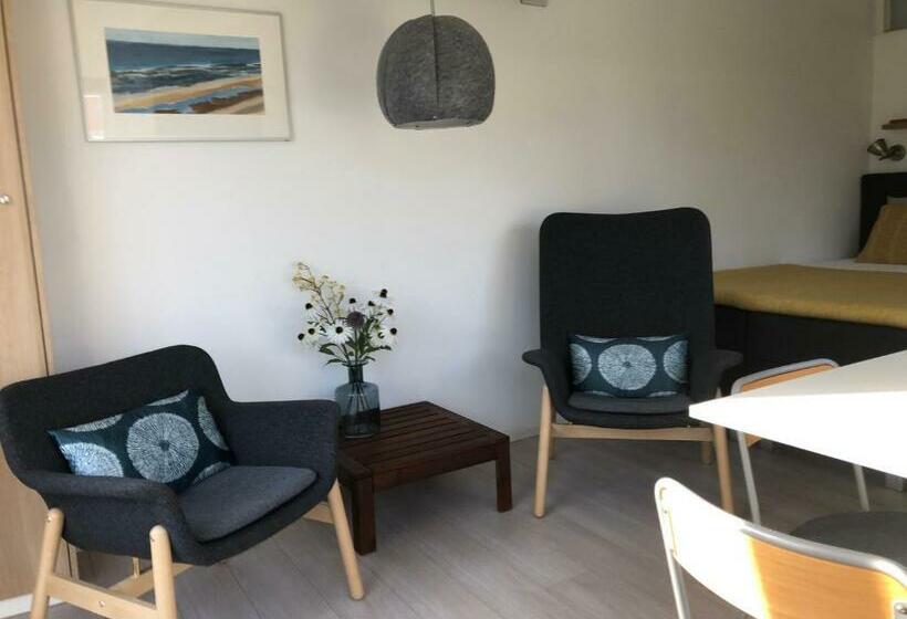 住宿加早餐 De Zwarte Ruiter