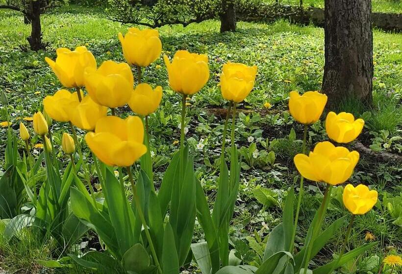 ベッドアンドブレックファースト Entre Meuse Et Forêt