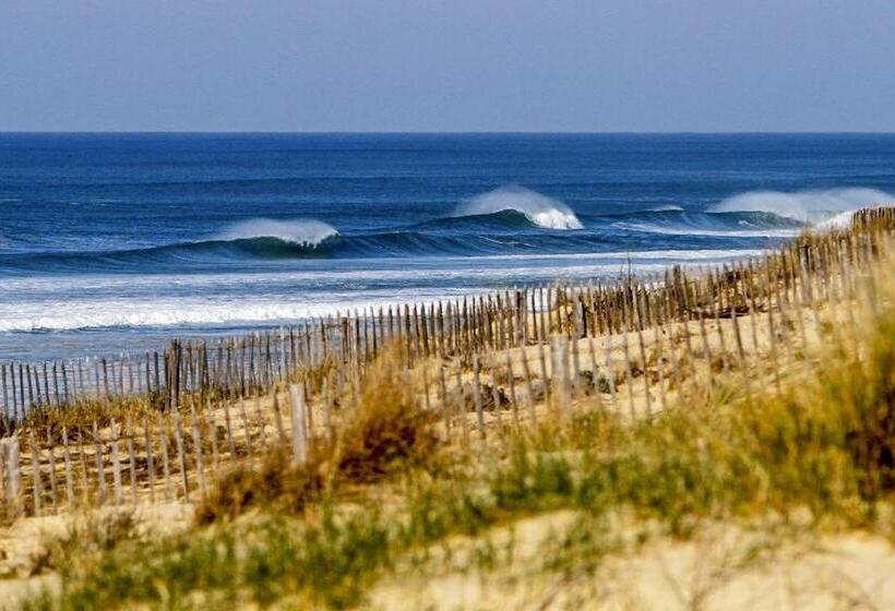 ベッドアンドブレックファースト Hacienda De La Canopée Avec Piscine Chauffée Au Sel
