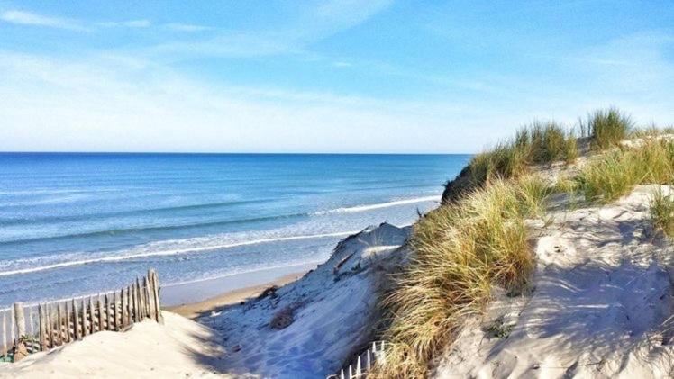 ベッドアンドブレックファースト Hacienda De La Canopée Avec Piscine Chauffée Au Sel