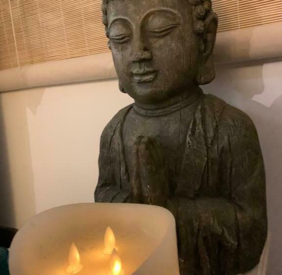 ベッドアンドブレックファースト Hacienda De La Canopée Avec Piscine Chauffée Au Sel