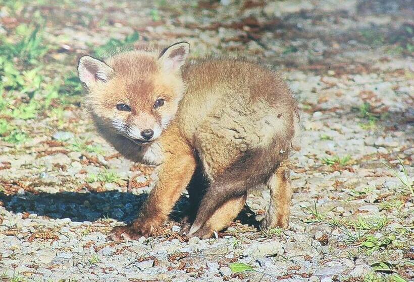 민박 Les Arpents Verts