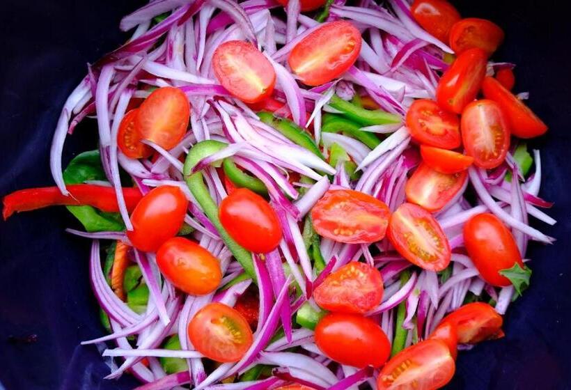 住宿加早餐  Selina Airport Lodge #emzini