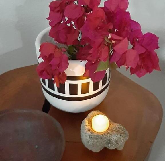 בית מלון כפרי Pousada Casa Branca