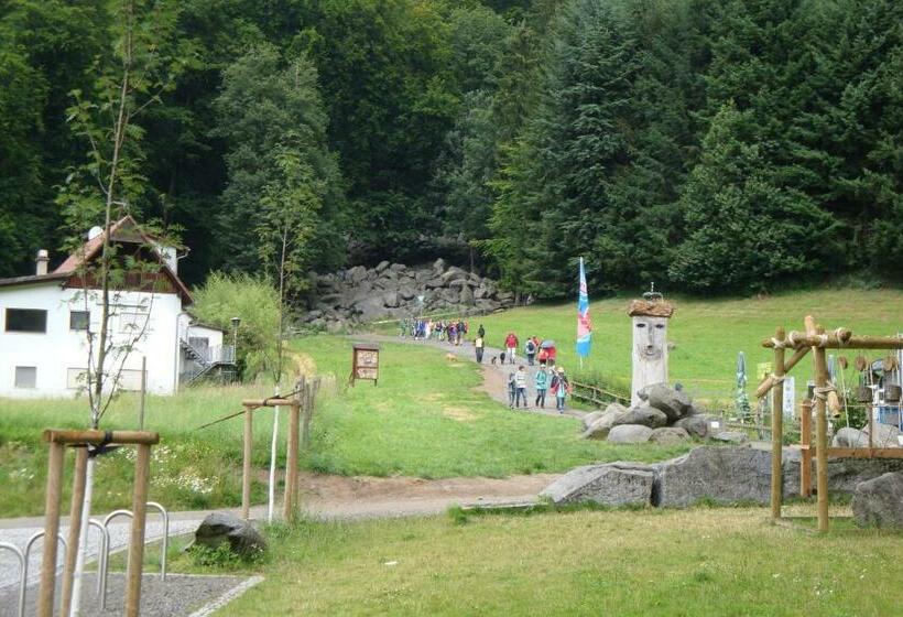 Отель Gaestehaeuser Am Nibelungensteig