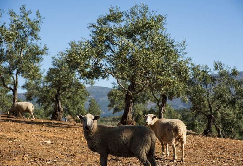 هتل Hábitat Cigüeña Negra
