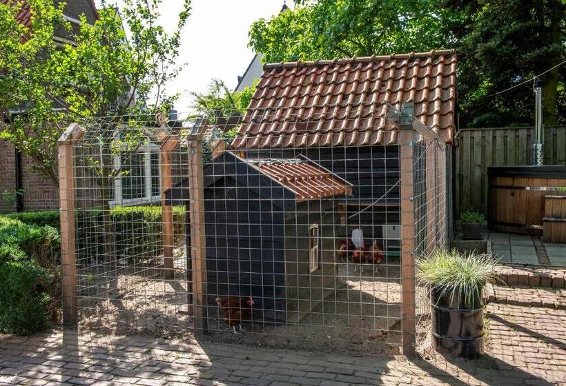 Hush Bed & Breakfast