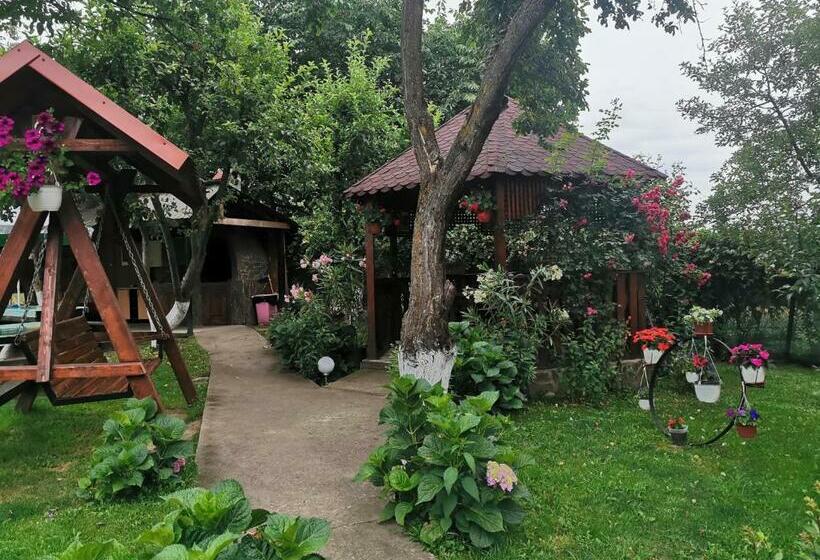 بنسيون Casa Lidia