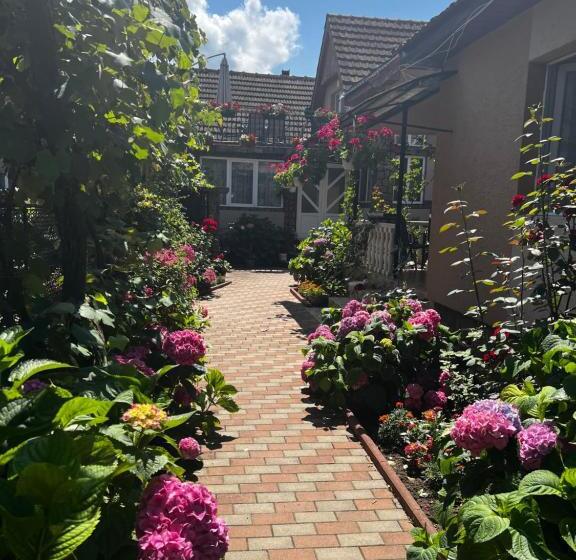 بنسيون Casa Lidia