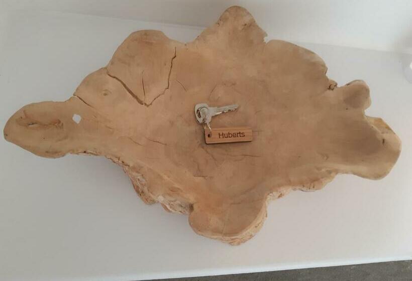 بنسيون Huberts