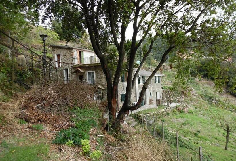 ペンション La Quiete Accesa