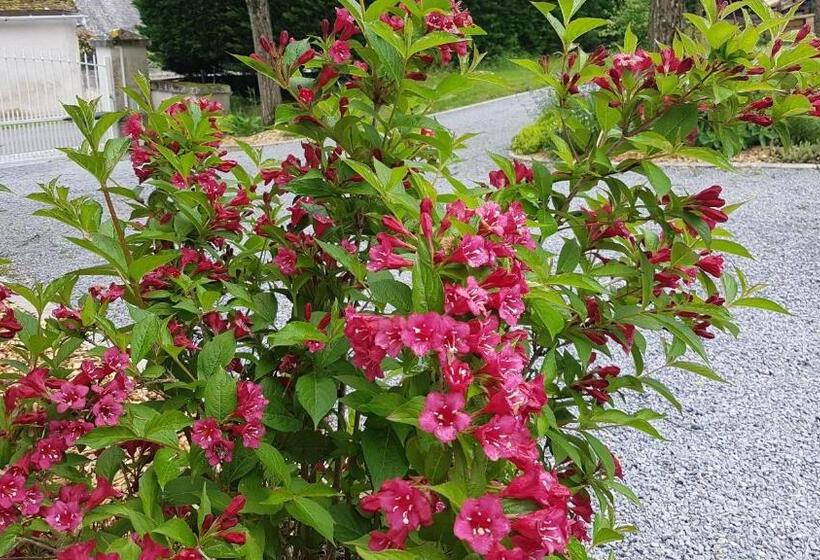 بنسيون Les Sept Tilleuls   Chambres D Hôtes