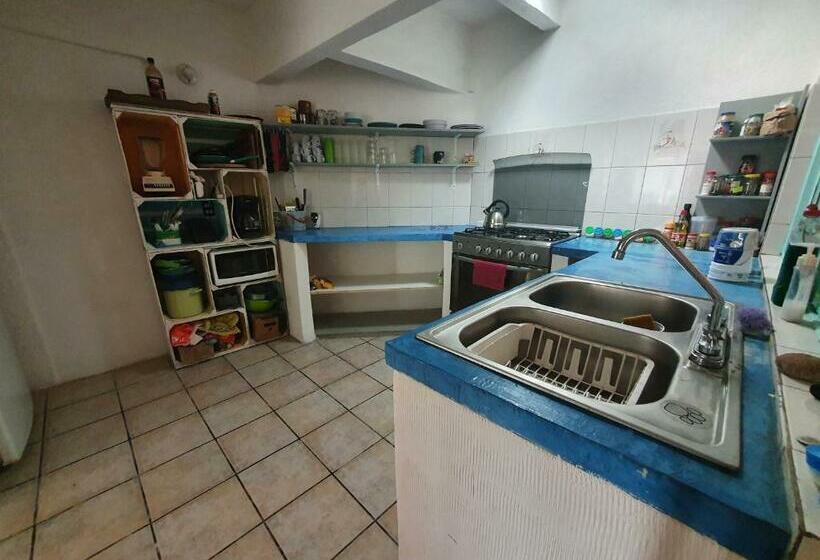 پانسیون Nómadas Hostel