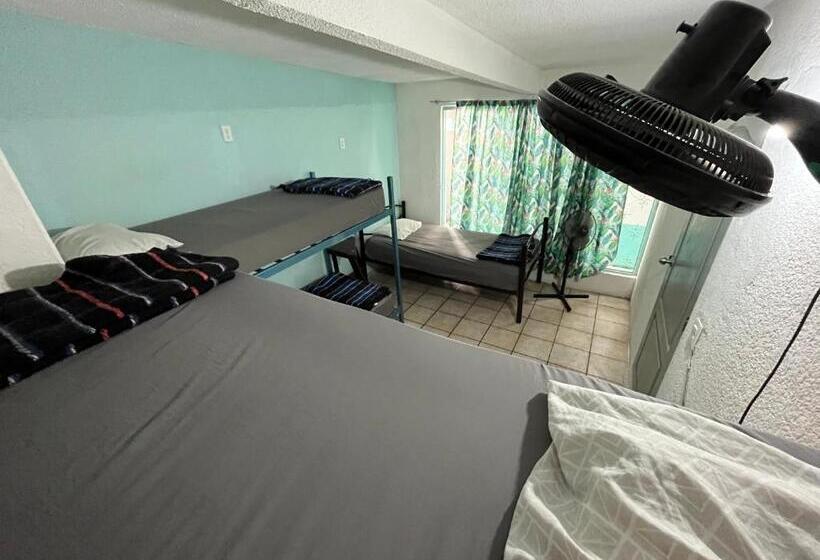 פנסיון Nómadas Hostel