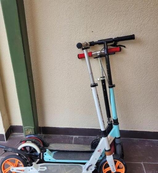 펜션 Tulip Home Guest House