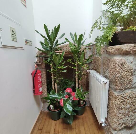 ペンション Zimão Garden House