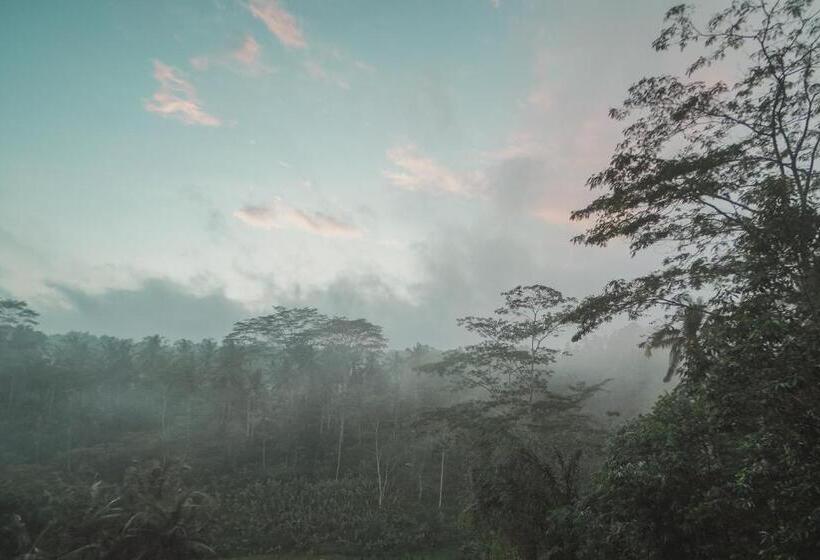 אתר נופש Woywoy Escape Bresela Adults Only