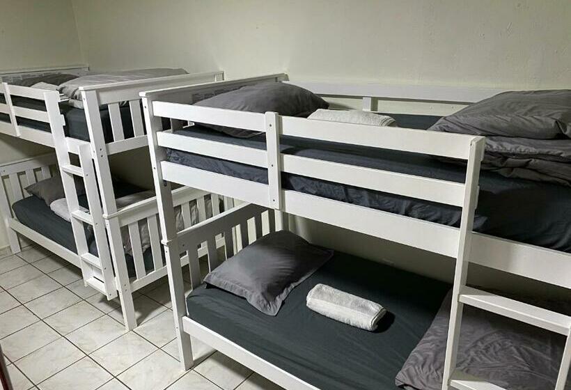 Общежитие Single Size Bottom Bunk Bed   Mixed Shared