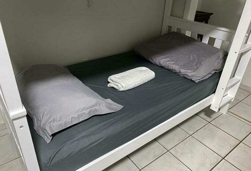 Общежитие Single Size Bottom Bunk Bed   Mixed Shared