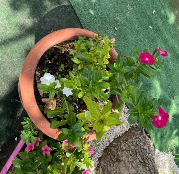 مبيت وإفطار Casale Nella Valle