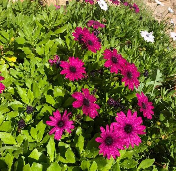 مبيت وإفطار Casale Nella Valle