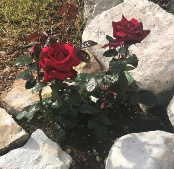 مبيت وإفطار Casale Nella Valle