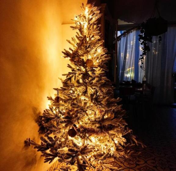 تختخواب و صبحانه Dhara House Malta