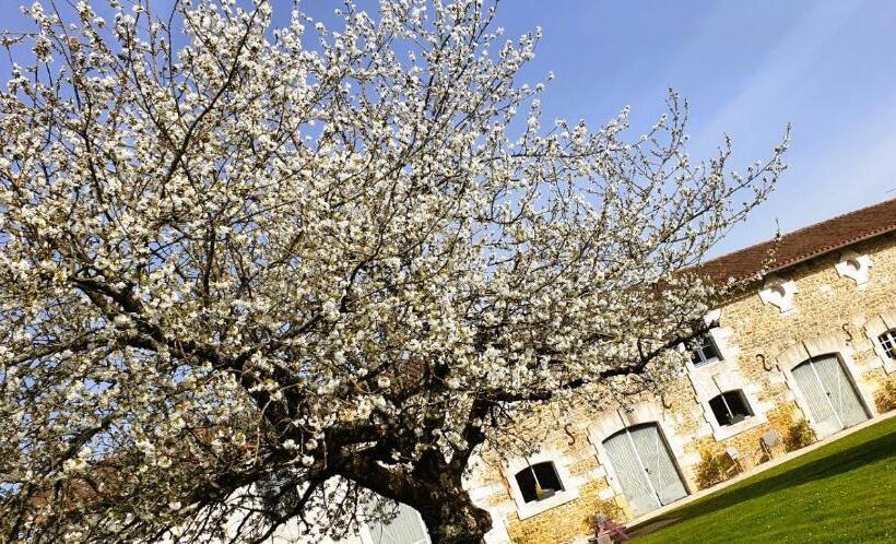Bed and Breakfast Les Quintanes