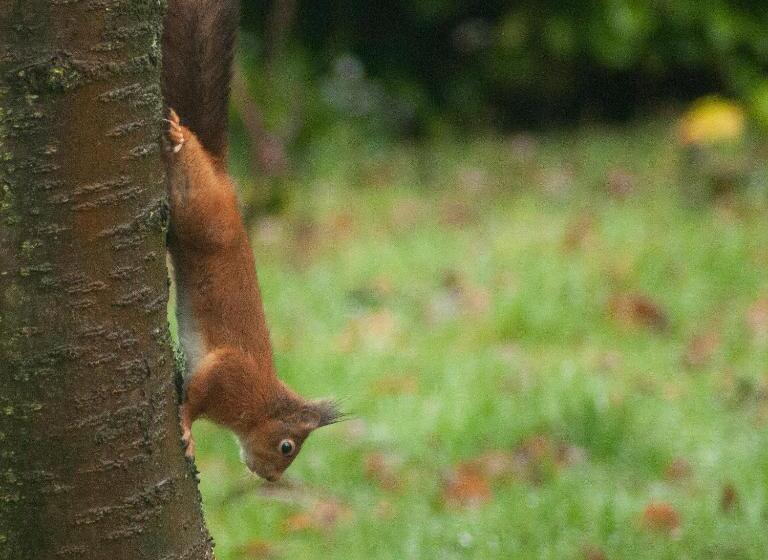 住宿加早餐 Wellintown Guest House