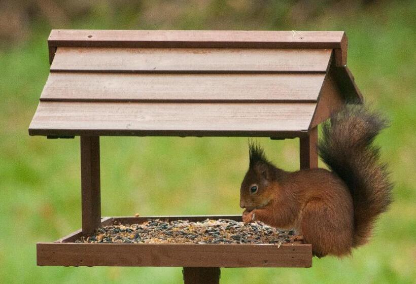 住宿加早餐 Wellintown Guest House