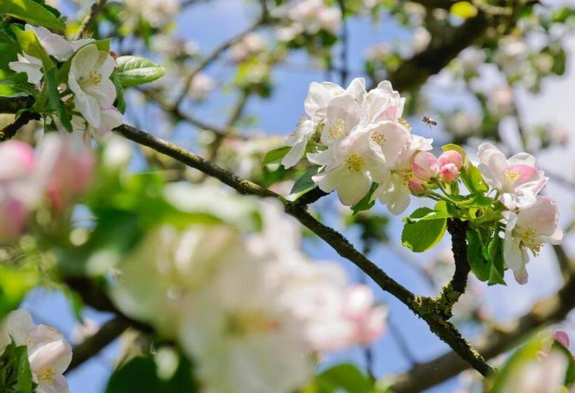 住宿加早餐 Wellintown Guest House