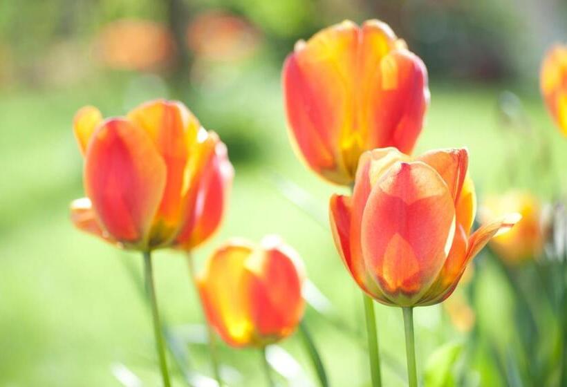 住宿加早餐 Wellintown Guest House