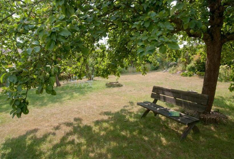 住宿加早餐 Wellintown Guest House