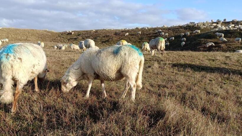 住宿加早餐 Zee&meer