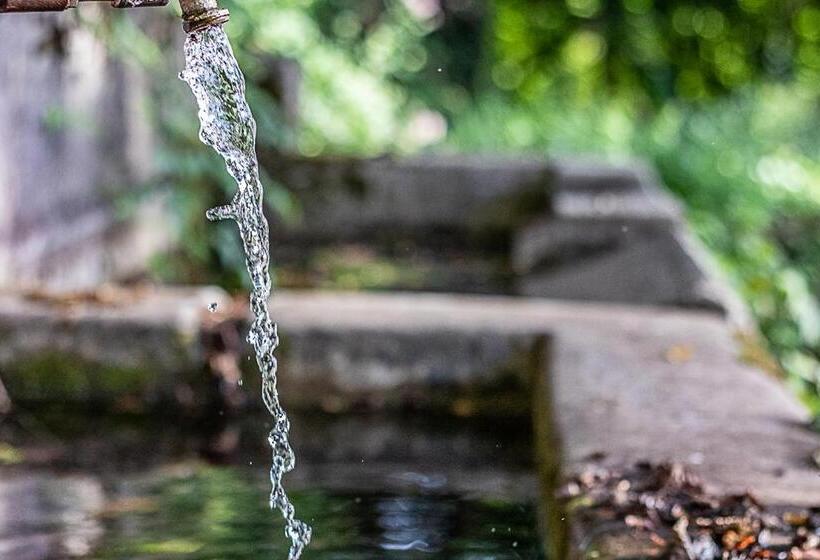 Отель Agriturismo Casal D Acqua Bianca