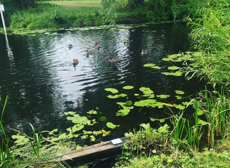 فندق على الطريق The Swan Inn Newport