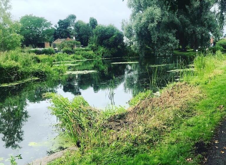 فندق على الطريق The Swan Inn Newport