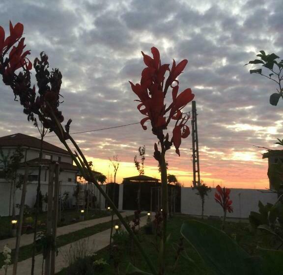 פנסיון Blue Sky House